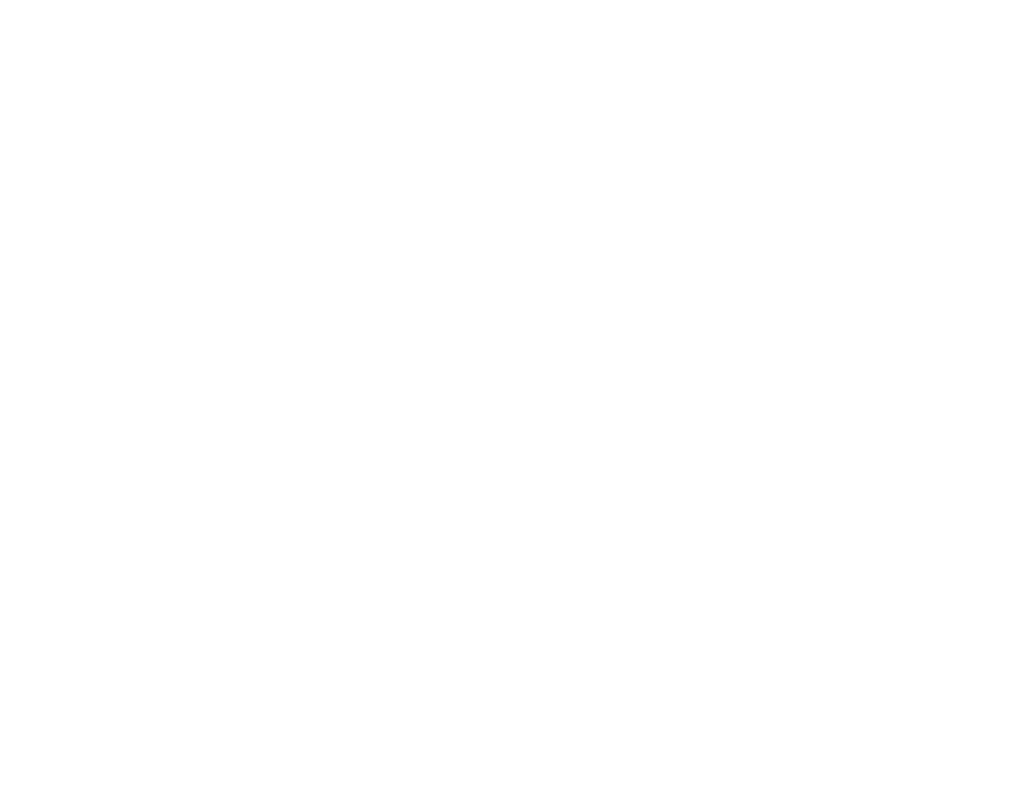 Custom Interface Development Custom Interface Development